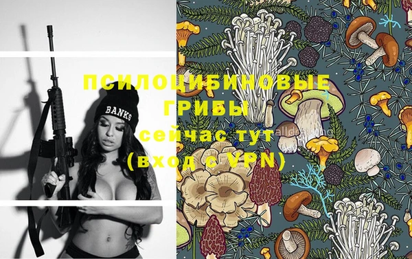 Альфа ПВП Лабытнанги