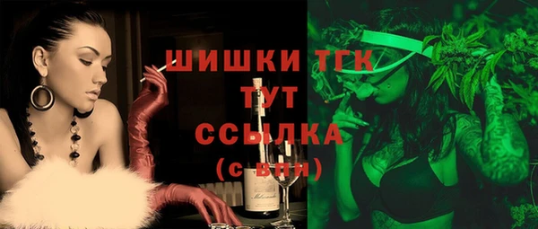 хмурый Лагань