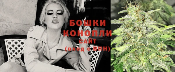 мет Ладушкин