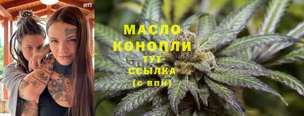 мет Ладушкин