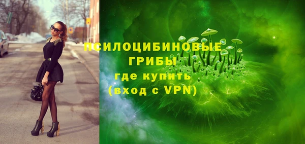 хмурый Лагань
