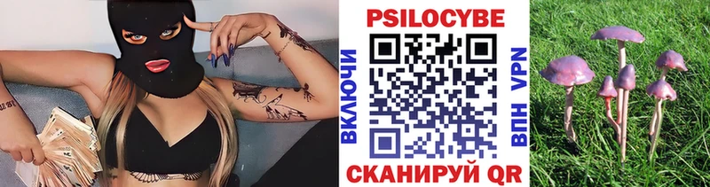 Псилоцибиновые грибы Cubensis  Южноуральск 
